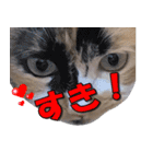 ゆずりんTVスタンプ(みかん)（個別スタンプ：32）