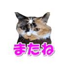 ゆずりんTVスタンプ(みかん)（個別スタンプ：36）