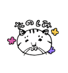 おしゃべりチャミさん（個別スタンプ：1）