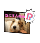 エルマーVol.2（個別スタンプ：2）