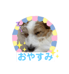 エルマーVol.2（個別スタンプ：6）