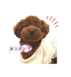 はなちゃんの気持ち！！（個別スタンプ：4）