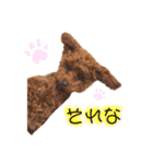 はなちゃんの気持ち！！（個別スタンプ：10）