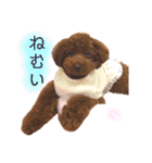 はなちゃんの気持ち！！（個別スタンプ：13）