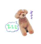 PEACE loves peace（個別スタンプ：1）