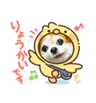 チワワのchapi _part1（個別スタンプ：2）