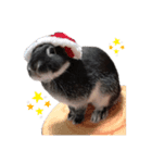 ウサギの小次郎くん（個別スタンプ：6）