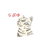 えまあみ（個別スタンプ：2）