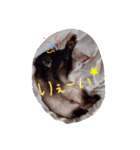 むーちゃん日常スタンプ（個別スタンプ：6）