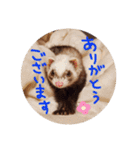 むーちゃん日常スタンプ（個別スタンプ：7）