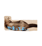 むーちゃん日常スタンプ（個別スタンプ：11）