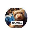 むーちゃん日常スタンプ（個別スタンプ：13）