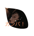 ラッキー優慈（個別スタンプ：3）