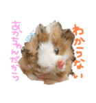 プルプルすたんぷ ナップルちゃん（個別スタンプ：1）