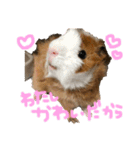 プルプルすたんぷ ナップルちゃん（個別スタンプ：11）