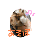 プルプルすたんぷ ナップルちゃん（個別スタンプ：12）
