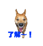 バイスのスタンプ（個別スタンプ：7）