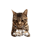 スモモのスタンプ（個別スタンプ：1）
