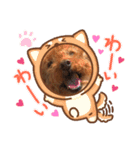 トイプードル エルモ♡（個別スタンプ：10）