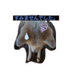 愛犬さくらの心温まる日常スタンプ（個別スタンプ：15）