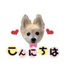 今日も元気なりんちゃん（個別スタンプ：2）