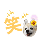 今日も元気なりんちゃん（個別スタンプ：13）