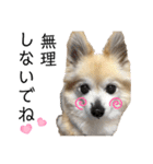 今日も元気なりんちゃん（個別スタンプ：27）