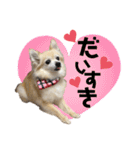 今日も元気なりんちゃん（個別スタンプ：34）