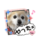 今日も元気なりんちゃん（個別スタンプ：38）
