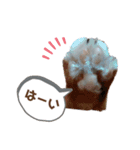 Everyday of cat's②（個別スタンプ：6）
