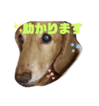 れおさんスタンプ⑤（個別スタンプ：7）
