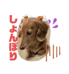 れおさんスタンプ⑤（個別スタンプ：11）