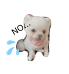 わんわんわんわん1（個別スタンプ：14）