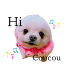 わんわんわんわん1（個別スタンプ：35）