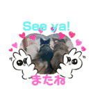 わんわんわんわん1（個別スタンプ：36）