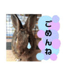 Mさん＆Kさん（個別スタンプ：10）