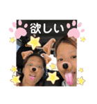 Mさん＆Kさん（個別スタンプ：19）