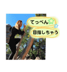 Mさん＆Kさん（個別スタンプ：36）