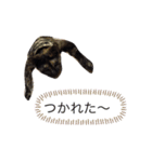 おととスタンプ♪（個別スタンプ：2）