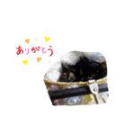 おととスタンプ♪（個別スタンプ：6）