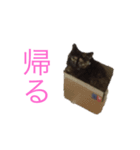 おととスタンプ♪（個別スタンプ：8）