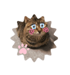 ねこちゃんスタンプ（てて）（個別スタンプ：3）