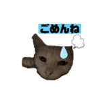 白猫スノーの日常4（個別スタンプ：11）