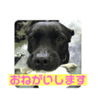 Elsemileすみれなど①（個別スタンプ：6）