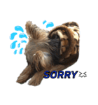 むぎ（犬）のすたんぷ（個別スタンプ：1）