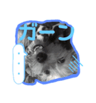 むぎ（犬）のすたんぷ（個別スタンプ：4）