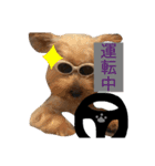 むぎ（犬）のすたんぷ（個別スタンプ：8）