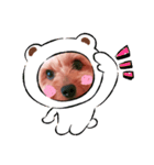 ヨーキー♡COCO①（個別スタンプ：4）
