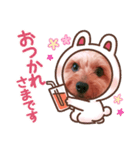 ヨーキー♡COCO①（個別スタンプ：5）