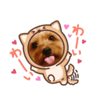 ヨーキー♡COCO①（個別スタンプ：8）